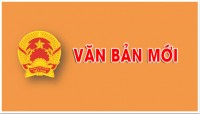 Logo VB