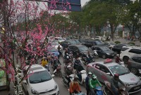 Bảo đảm trật tự an toàn giao thông trong dịp Tết Dương lịch, Tết Nguyên đán và mùa Lễ hội xuân Canh Tý 2020