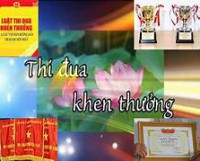 Tổ chức triển khai thực hiện Kế hoạch số 74/KH-UBND ngày 14/7/2021 của UBND tỉnh về Tuyên truyền các phong trào thi đua yêu nước, các điển hình tiên tiến, mô hình mới, nhân tố mới giai đoạn 2021 - 2025 trên địa bàn tỉnh Bình Định