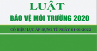 Thực hiện các quy định về bảo vệ môi trường