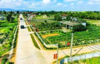 Công nhận xã đạt chuẩn nông thôn mới nâng cao năm 2022 (đợt 1 tháng 4/2023)