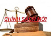 Chính sách mới