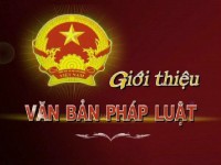 Nghị định số 175/2024/NĐ-CP ngày 30/12/2024 của Chính phủ quy định chi tiết một số điều và biện pháp thi hành Luật Xây dựng về quản lý hoạt động xây dựng