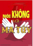 Tăng cường, nâng cao hiệu quả công tác phòng, chống và kiểm soát ma túy trên địa bàn tỉnh